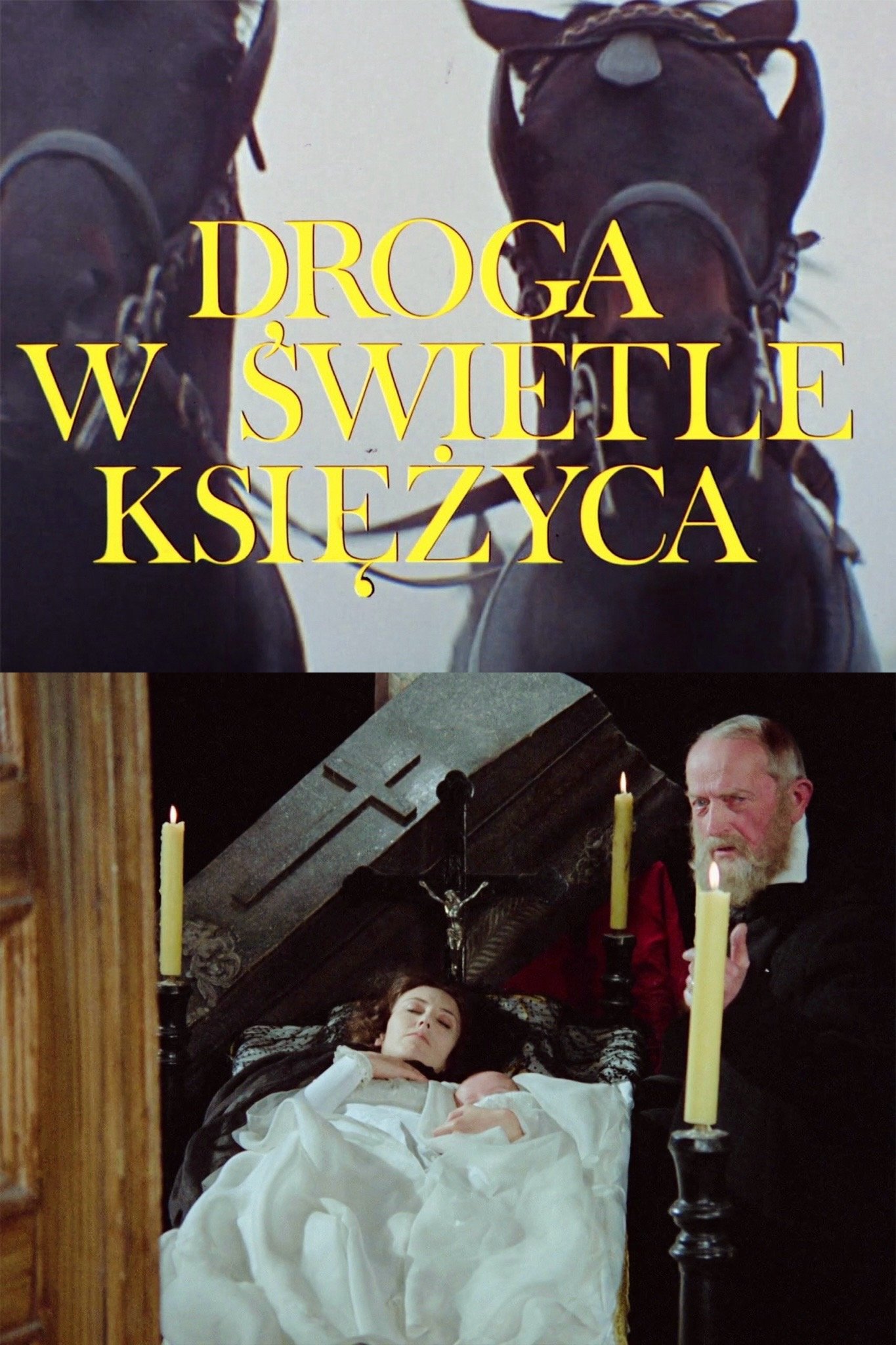 Droga w świetle księżyca