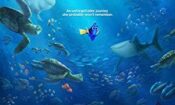 Finding Dory