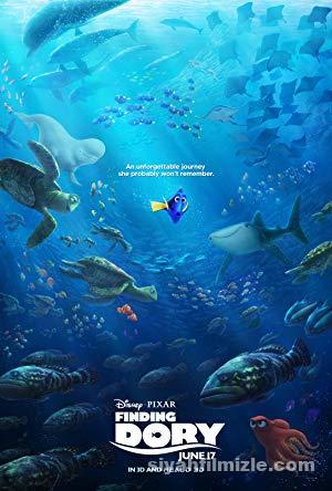 Finding Dory