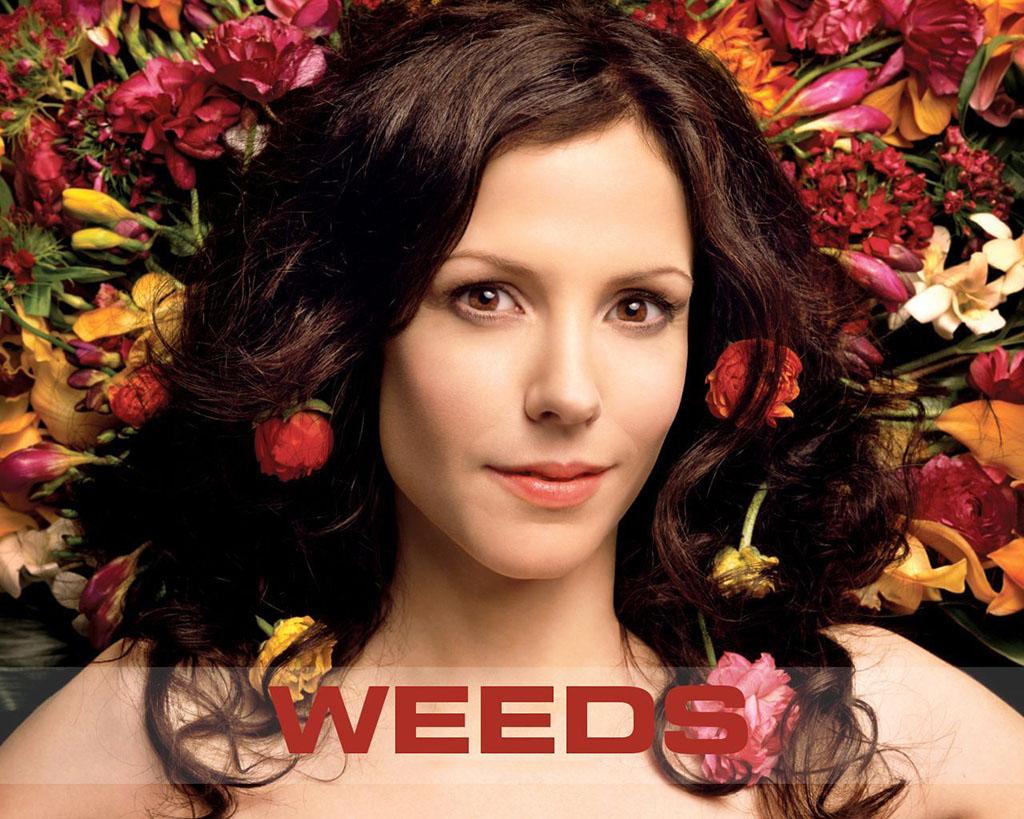 Weeds 5. Sezon 1. Bölüm     (Wonderful Wonderful)