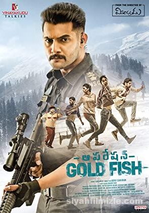 Operation Gold Fish