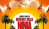 Beverly Hills Ninja