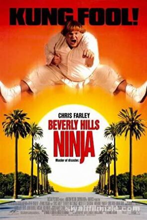 Beverly Hills Ninja