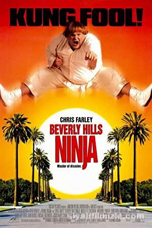 Beverly Hills Ninja