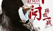 Ip Man: The Final Fight