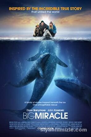 Big Miracle