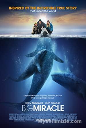 Big Miracle