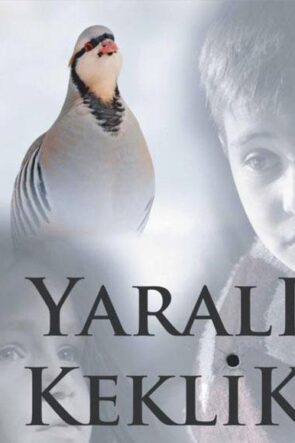 Yarali Keklik: Injured Partridge