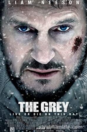 The Grey