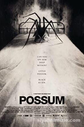 Possum