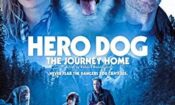 Hero Dog: The Journey Home