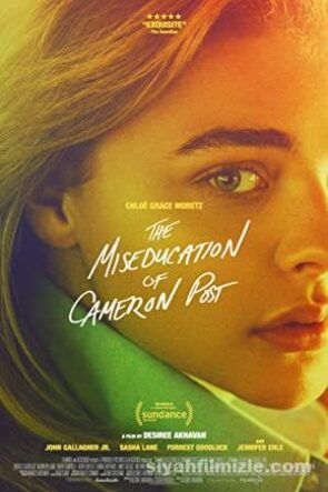 The Miseducation of Cameron Post