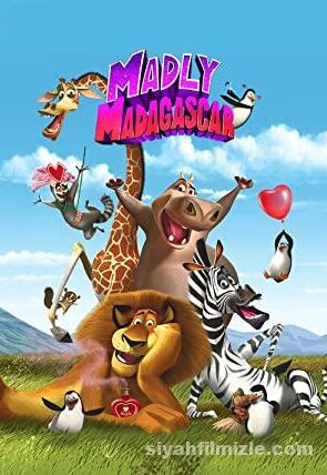 Madly Madagascar