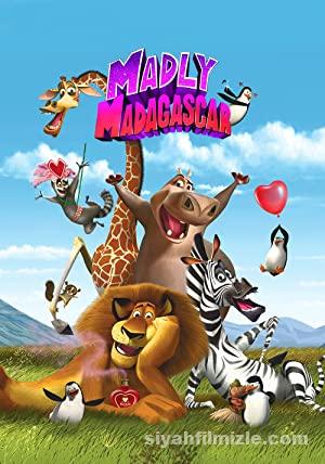 Madly Madagascar