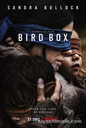 Bird Box