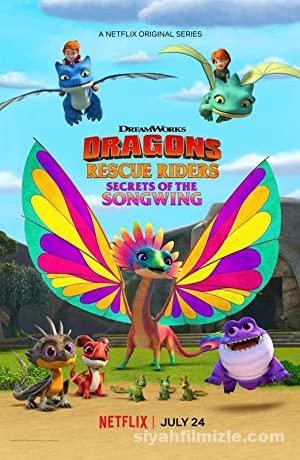 Dragons: Rescue Riders: Secrets of the Songwing