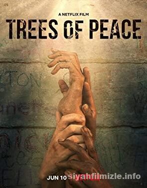 Trees of Peace