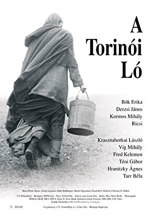 A torinói ló