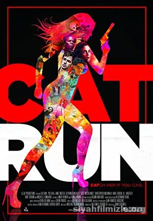 Cat Run