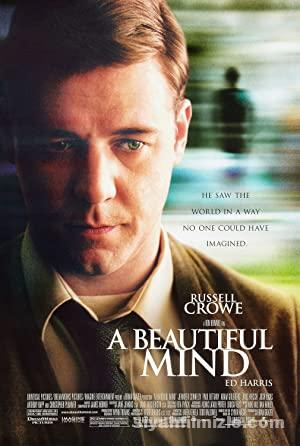 A Beautiful Mind