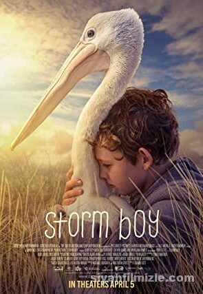 Storm Boy