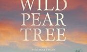 The Wild Pear Tree