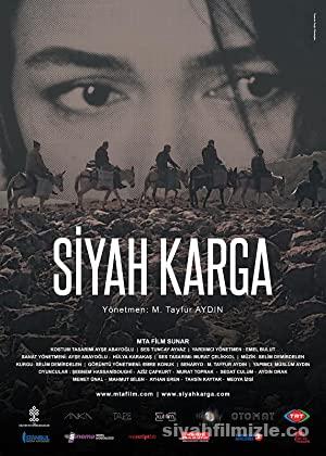 Siyah Karga