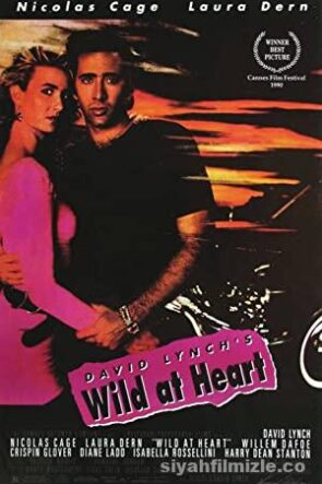 Wild at Heart