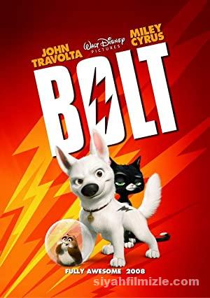 Bolt