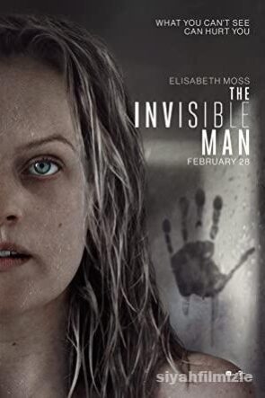 The Invisible Man