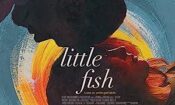 Little Fish