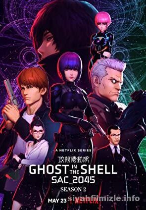 Ghost in the Shell SAC_2045