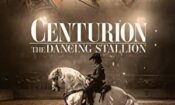 Centurion: The Dancing Stallion