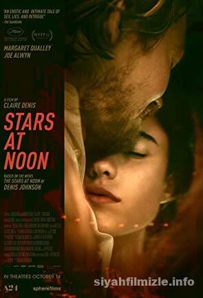 Stars at Noon