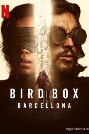 Bird Box Barcelona