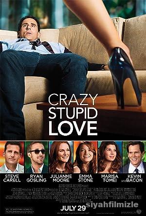 Crazy, Stupid, Love.