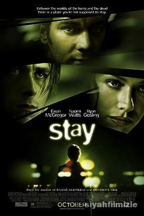 Stay